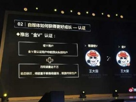 微博将针对自媒体推出“金V”认证