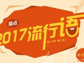 2017年十大网络流行语排行榜