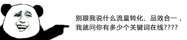 别跟我说流量转化、品效合一，我就问有多少关键词在线